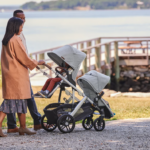 The Ultimate Guide to the UPPAbaby Twin Travel System